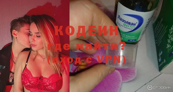 спиды Богородицк