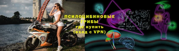 спиды Богородицк