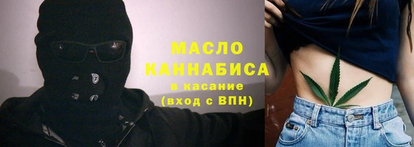 спиды Богородицк