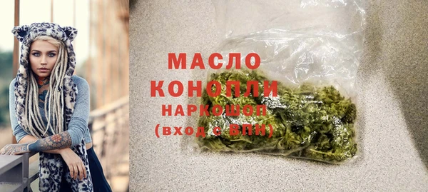 спиды Богородицк