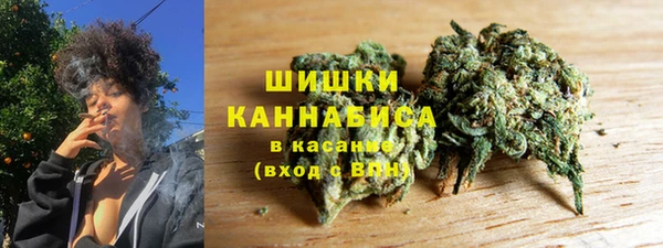 спиды Богородицк