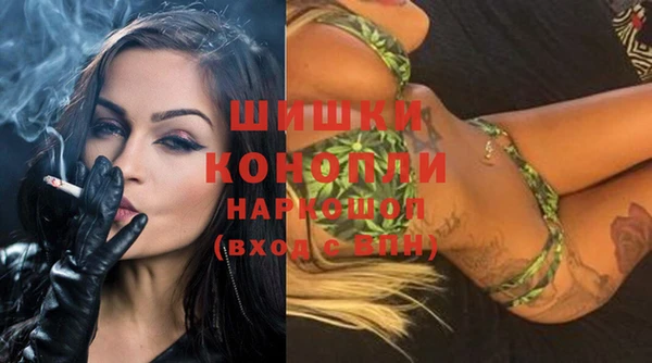 спиды Богородицк
